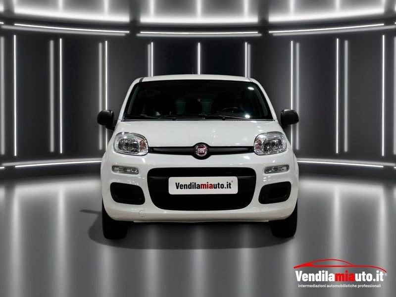 FIAT Panda Panda 1.0 FireFly S&S Hybrid - PADOVA