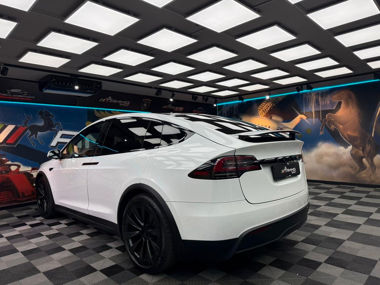 Tesla Model X LONG RANGE (329)