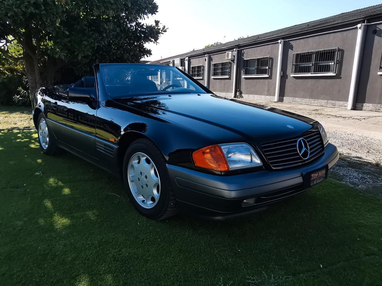 Mercedes-benz SL 300 SL-24 cat