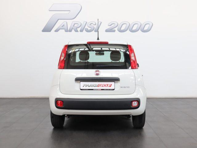 FIAT Panda 1.0 S&S Hybrid 70CV *PROMO PARISI GROUP*