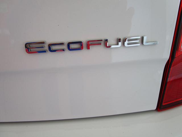 SEAT Mii 1.0 68 CV 5 porte Style Metano Ecofuel