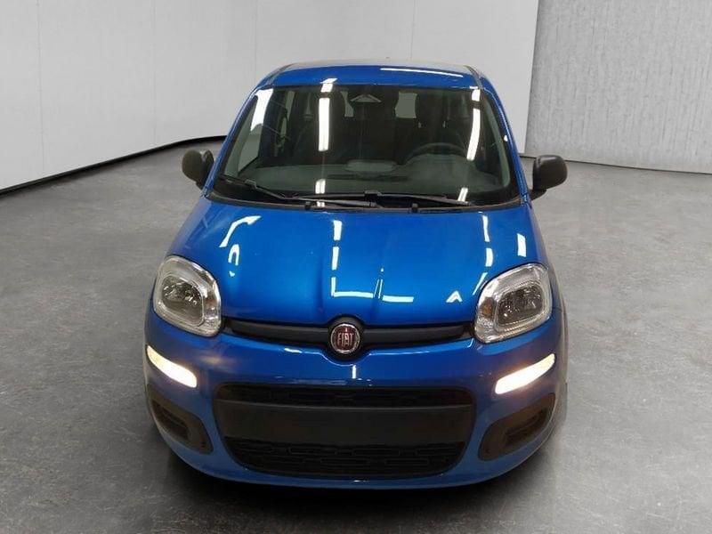 FIAT Pandina 1.0 firefly hybrid Icon s&s 70cv