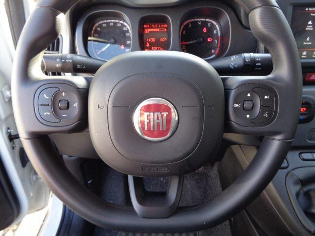 FIAT Panda 1000 HYBRID CITY CROSS PLUS 70CV CARPLAY CLIMAUTO