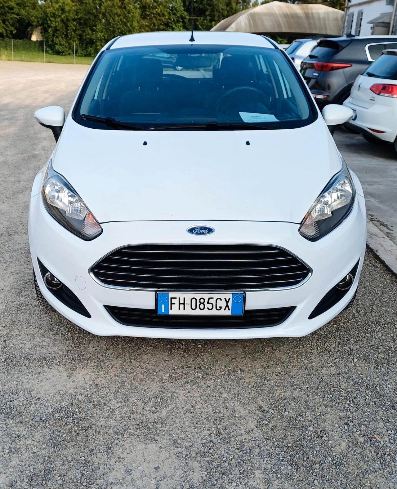 Ford Fiesta 1.4 5 porte Bz.- GPL Black & White Edition