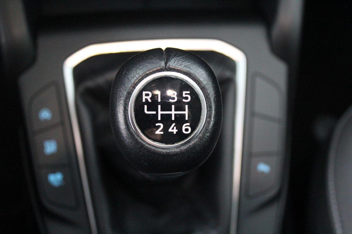 FORD - Focus Station Wagon - Focus 1.5 EcoBlue 120CV SW Business