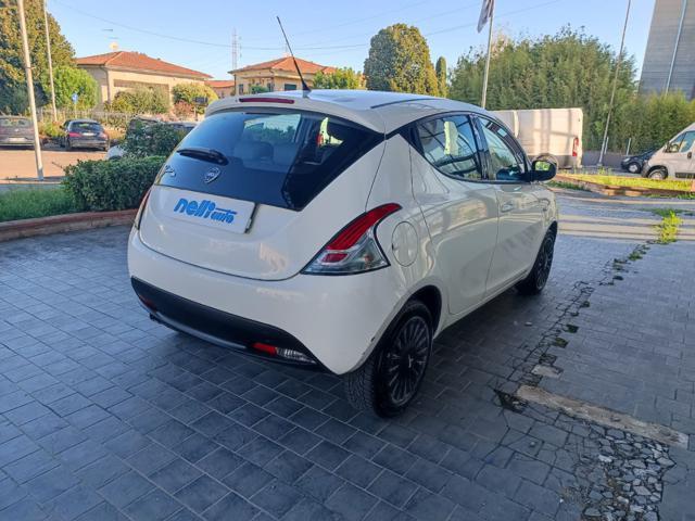LANCIA Ypsilon 1.2 69 CV 5 porte Elefantino