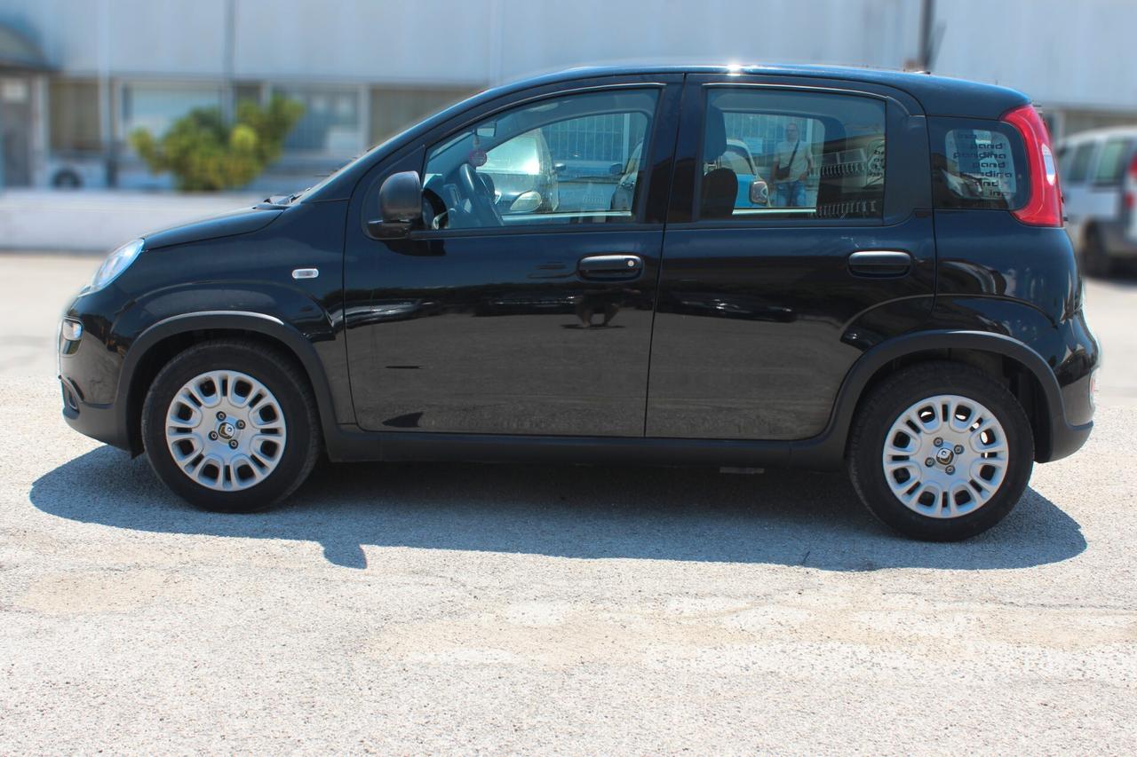 Fiat Panda 1.0 FireFly S&S Hybrid Pandina