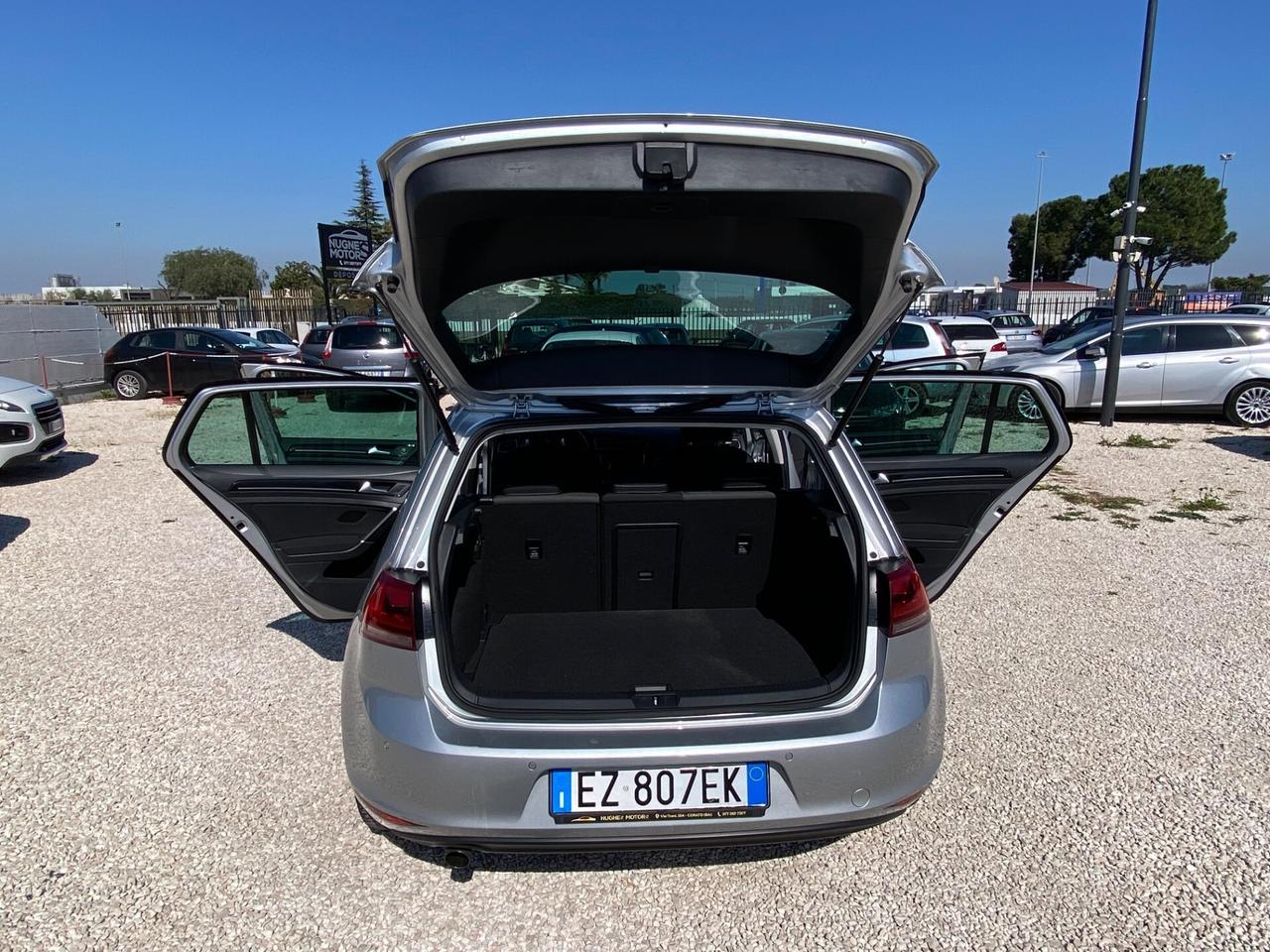 Volkswagen Golf 1.6 TDI 110 CV DSG 5p. Highline BlueMotion Technology