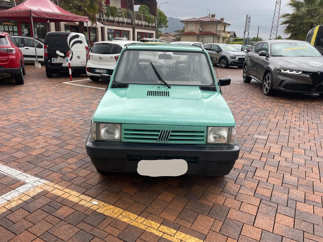 Fiat Panda 1100 i.e. cat Young