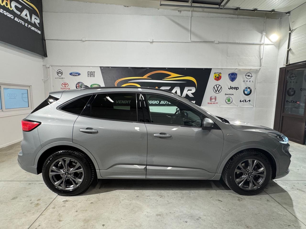 Ford Kuga 1.5 EcoBlue 120 CV 2WD ST-Line