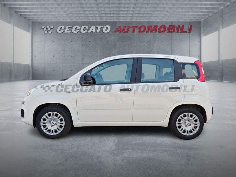 FIAT Panda Panda 1.0 firefly hybrid s&s 70cv 5p.ti