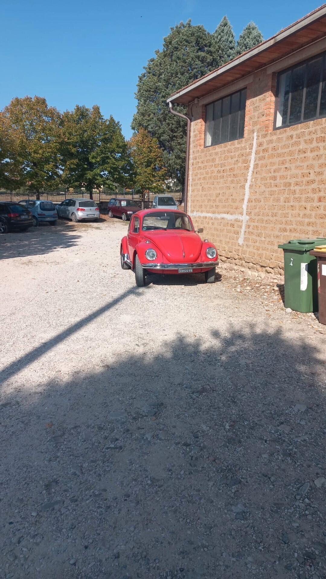 MAGGIOLINO MAGGIOLONE VOLKSWAGEN