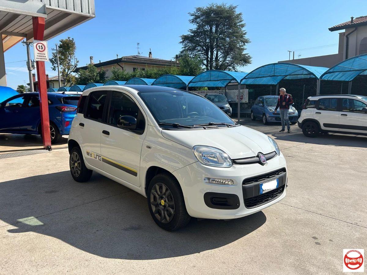 FIAT - Panda 0.9 t.air t. natural power Easy 80cv versione young