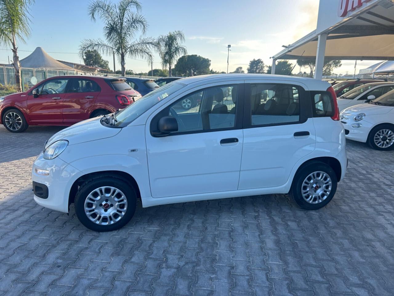 Fiat Panda 1.2 Easy