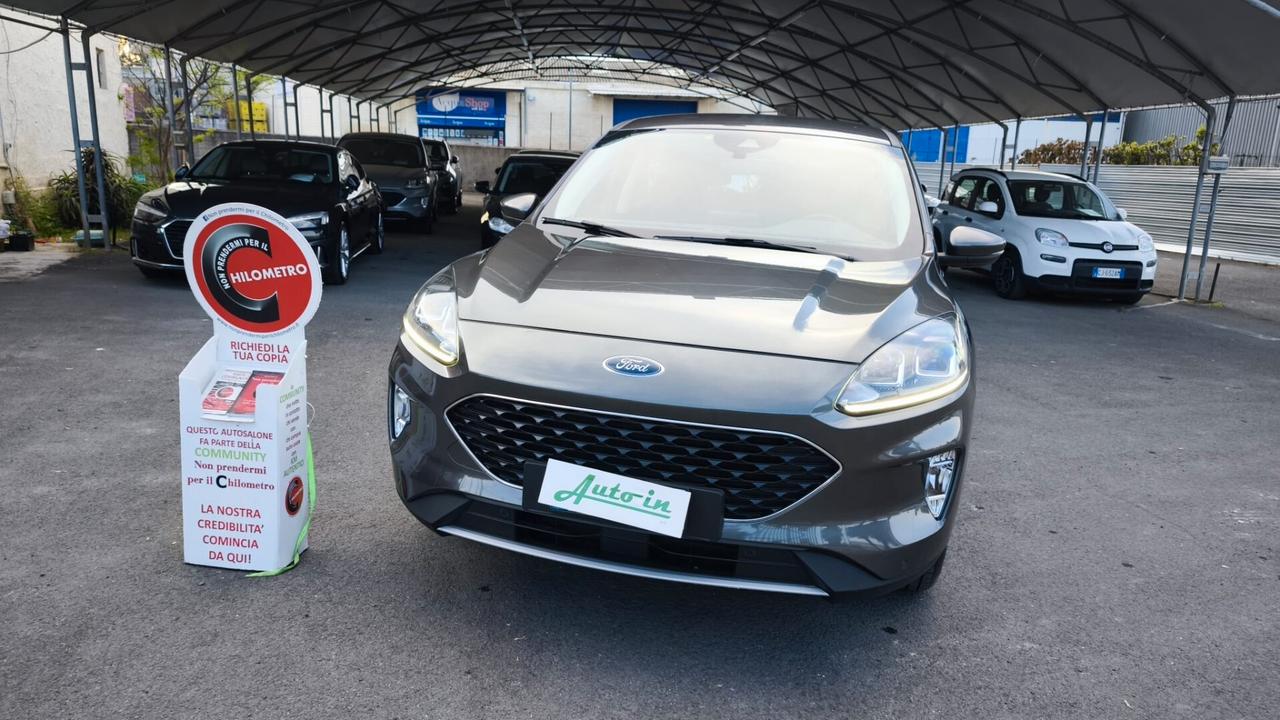 Ford Kuga 1.5 EcoBlue 120 CV aut. 2WD