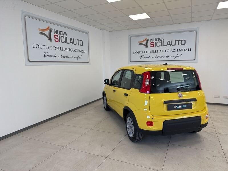 FIAT Panda N. 1.0 70cv Hybrid Panda