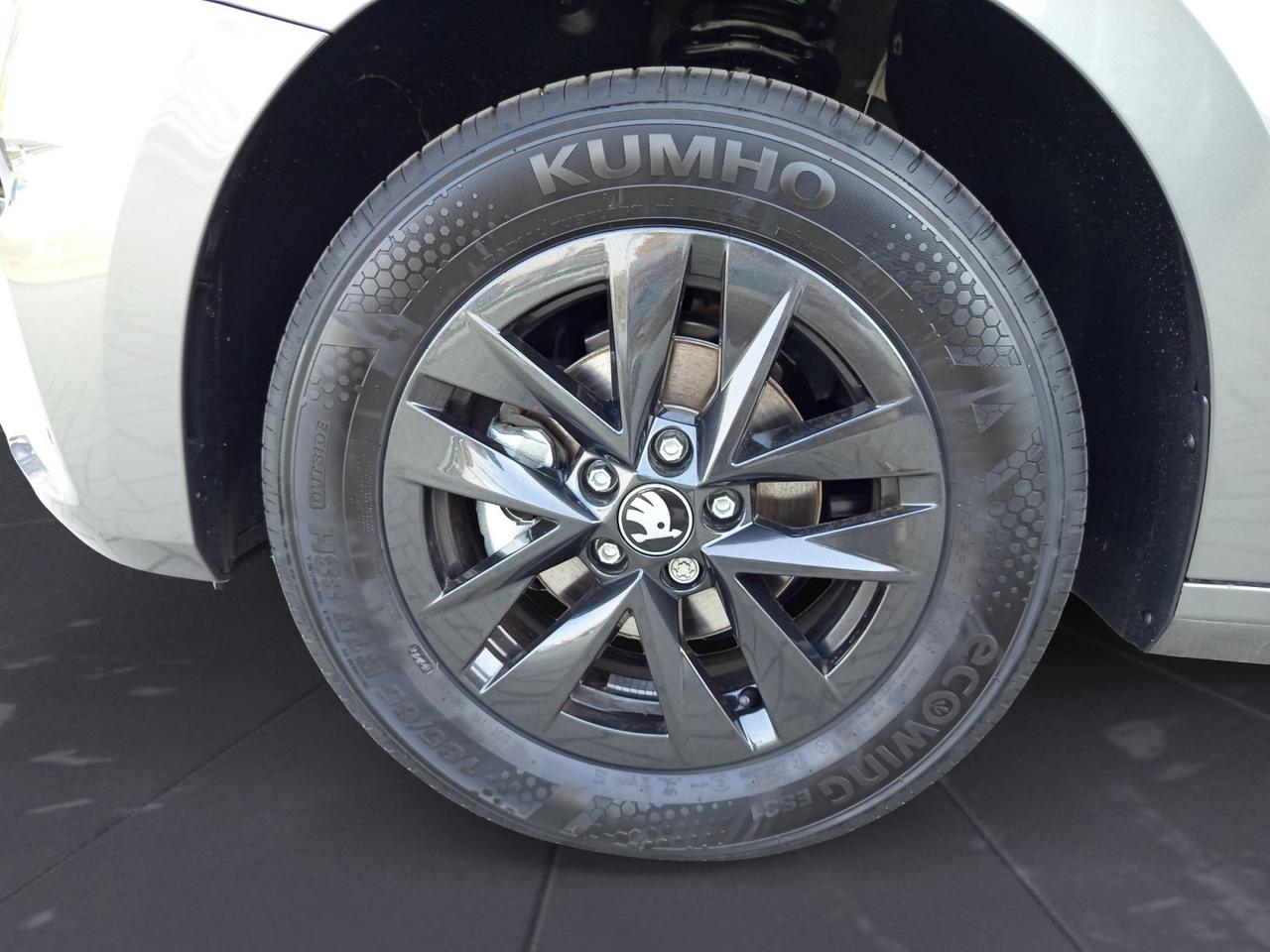 SKODA Fabia Young Edition 1.0 MPI 59 kW (80 CV) 5 marce - manuale