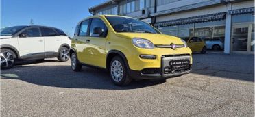 FIAT Panda Panda 1.0 FireFly S&S Hybrid