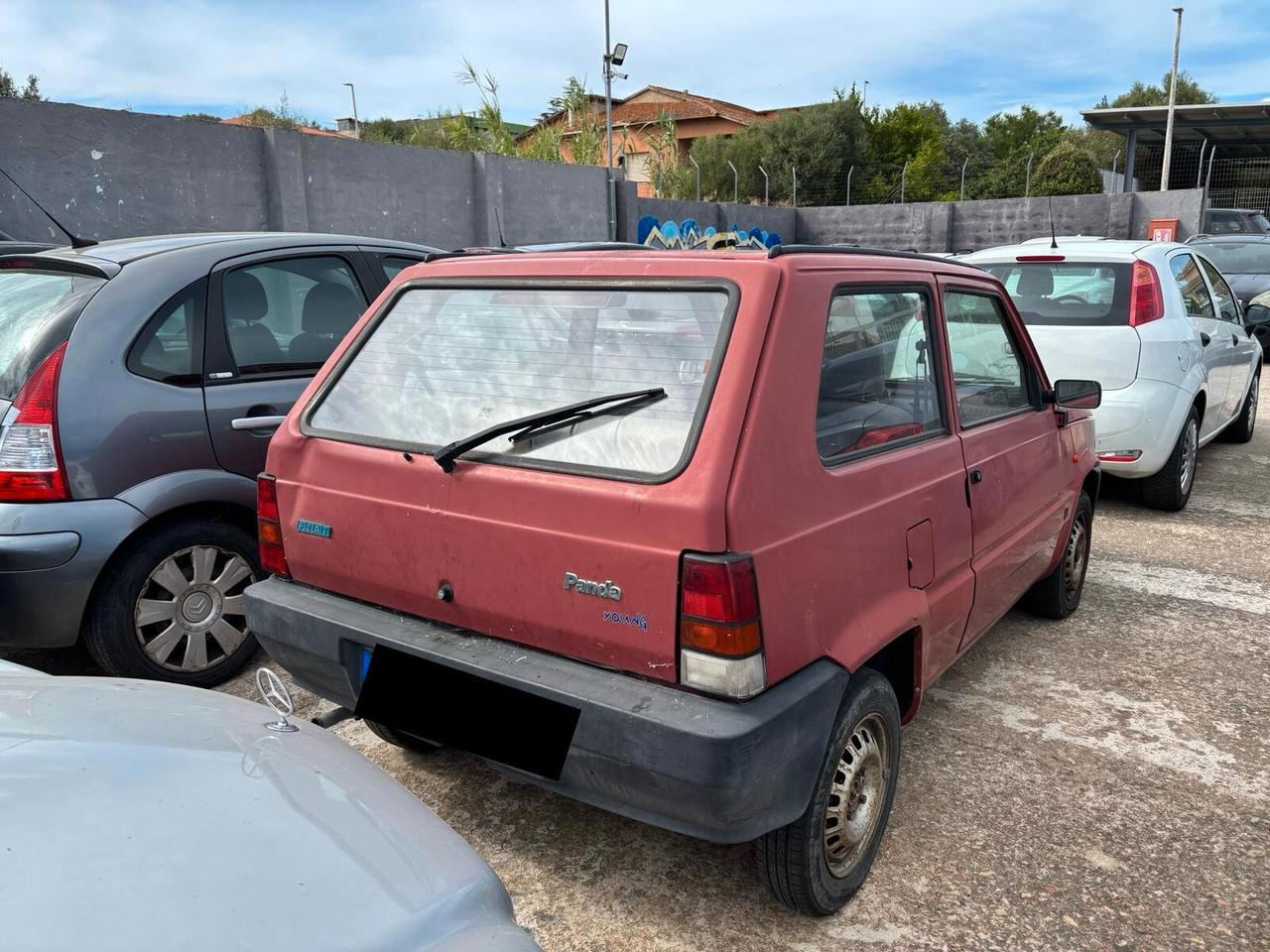 Fiat Panda 1100 i.e. cat Young