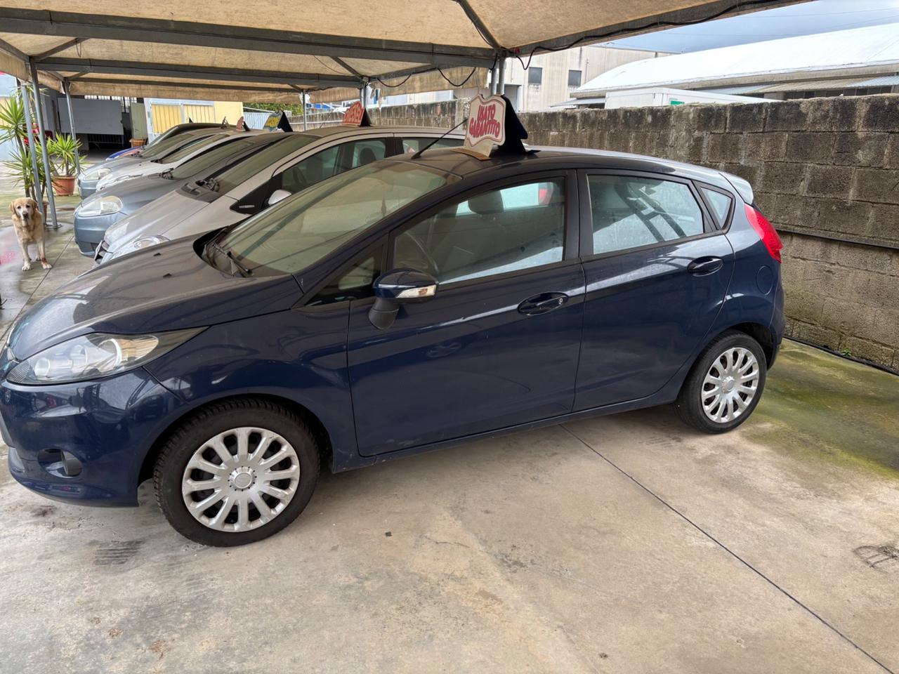 Ford Fiesta Fiesta 1.2 82CV 5 porte neo patentati