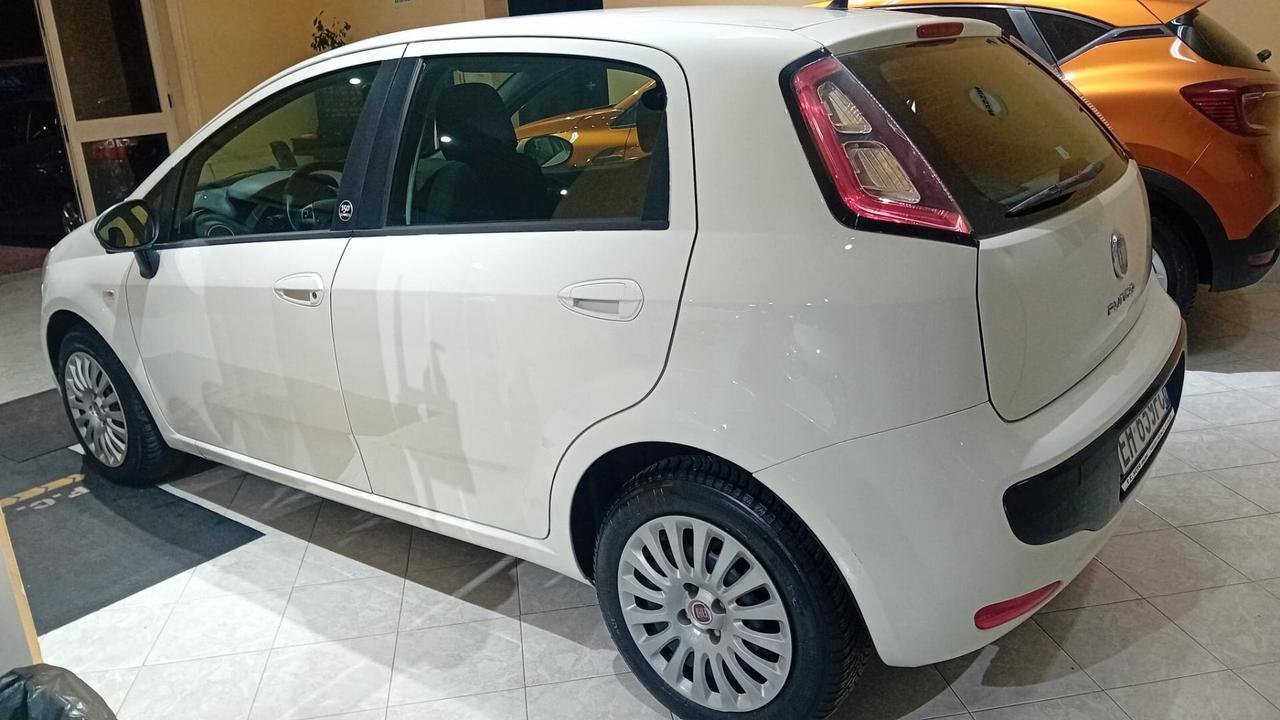 Fiat Punto Evo Punto Evo 1.2 5 porte S&S MyLife