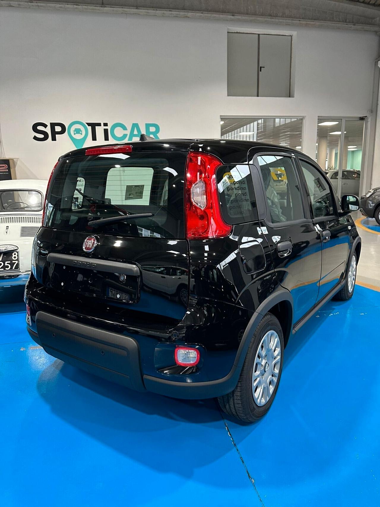 FIAT panda NUOVA PANDINA KM 0 2024