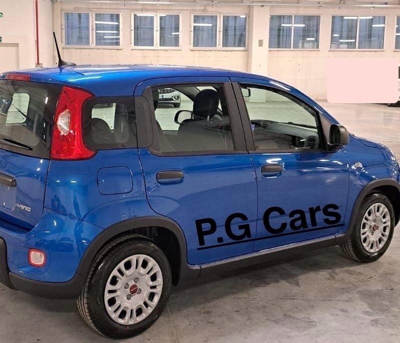 Fiat Panda 1.0 FireFly S&S Hybrid