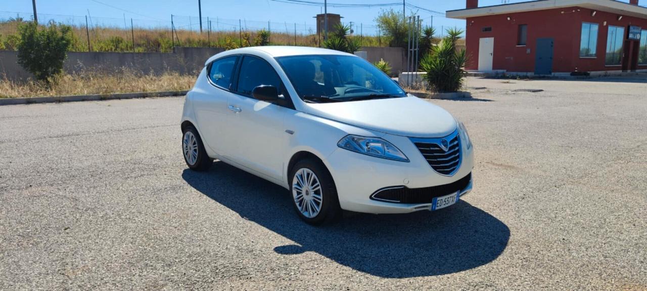 Lancia Ypsilon 1.3 MJT 16V 95 CV 5 porte S&S Platinum