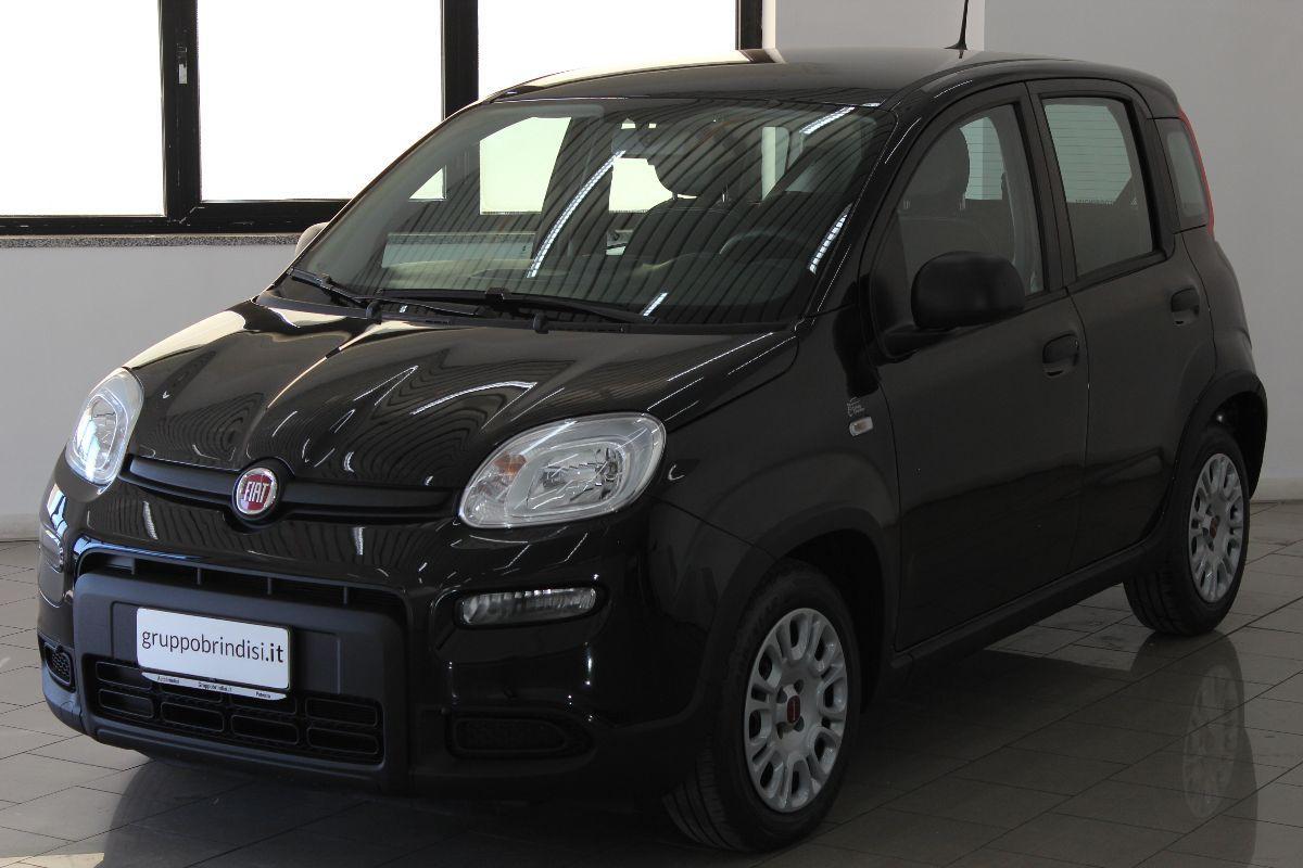 FIAT - Panda - 1.0 FireFly S&S Hybrid Launch Ed.