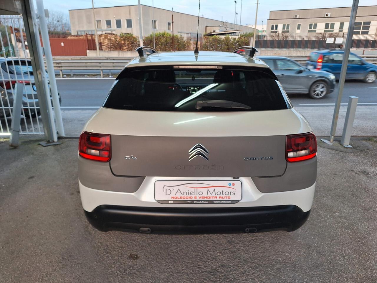 Citroen C4 Cactus BlueHDi 100 S&S Shine