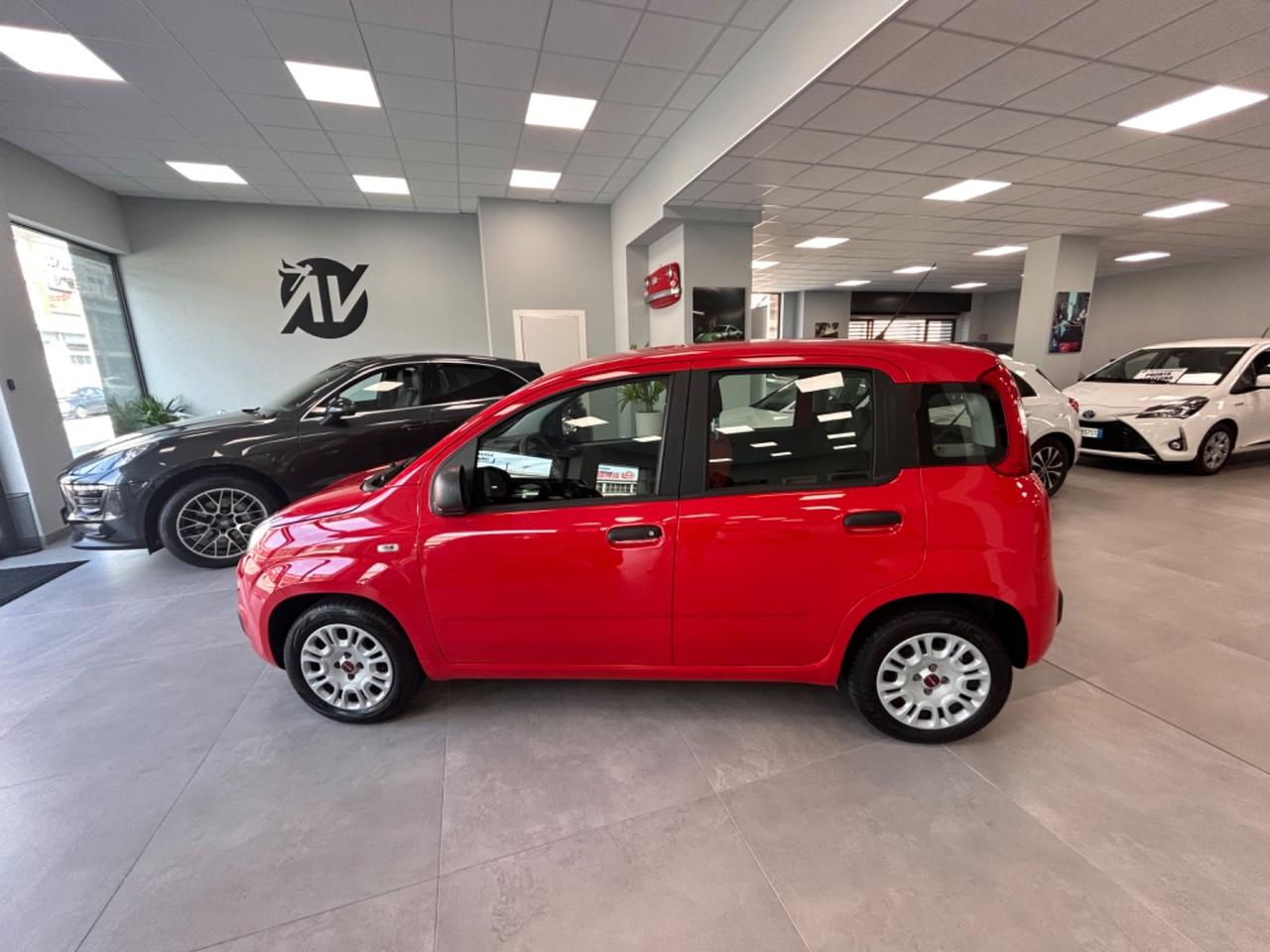 Fiat Panda Lounge 1.2 benzina 69cv 2019 km 91000