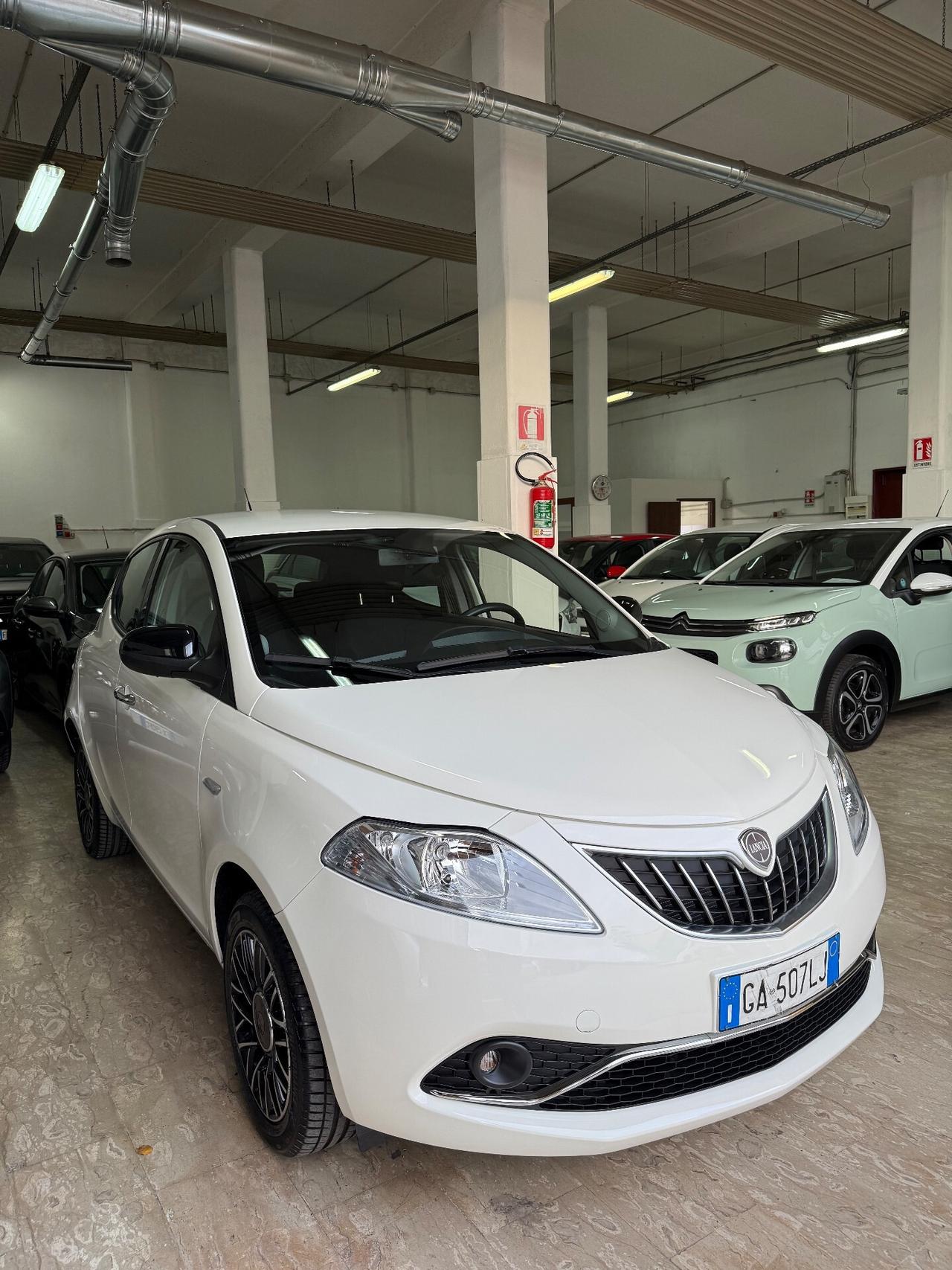 Lancia Ypsilon 1.2 69 CV 5 porte S&S Platinum