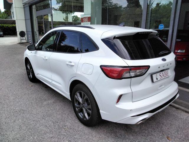 FORD Kuga 1.5 EcoBlue 120 CV 2WD ST-Line