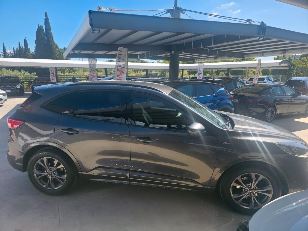 Ford Kuga 1.5 EcoBlue 120 CV 2WD ST-Line