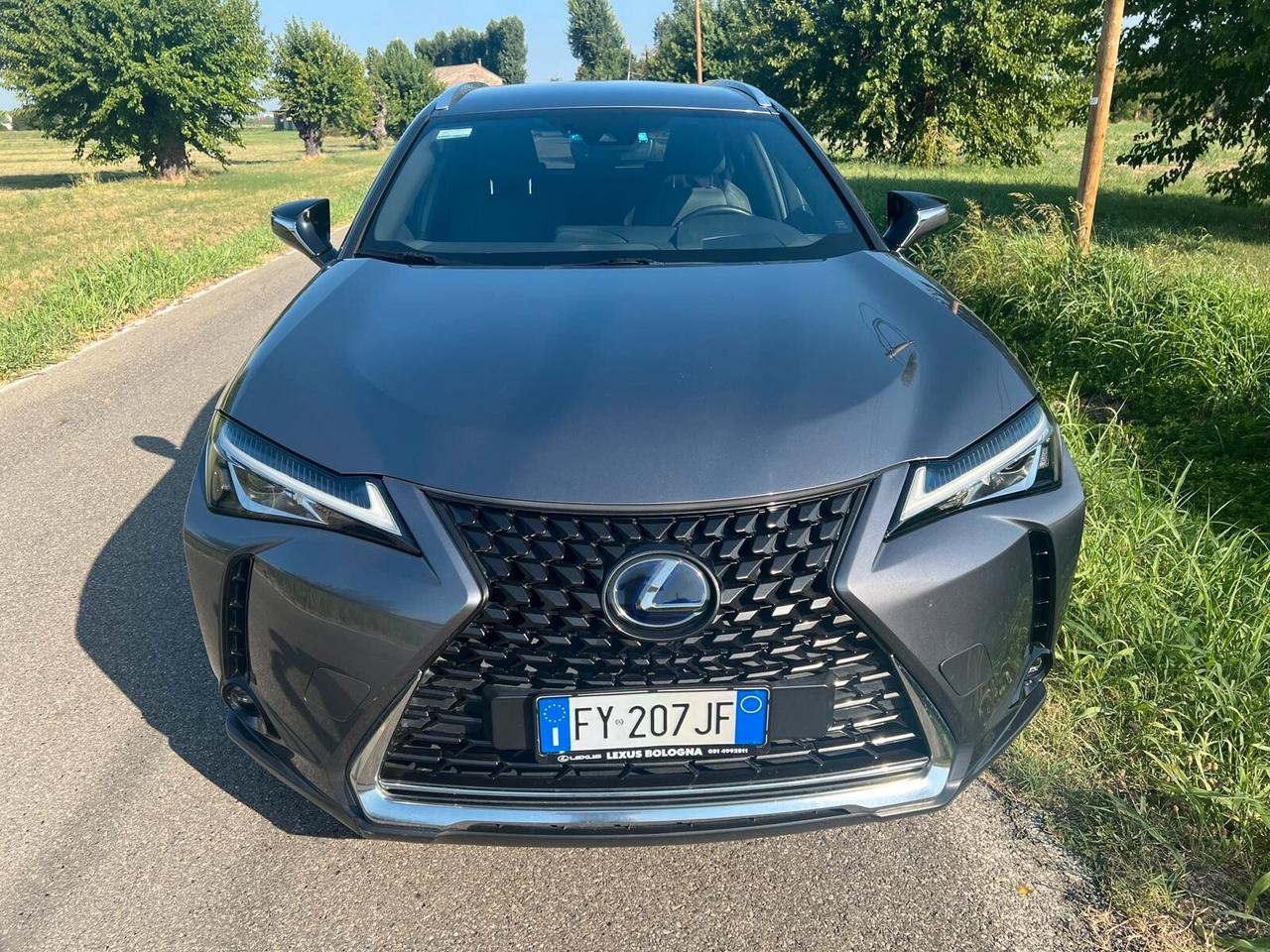 Lexus UX Hybrid 4WD Executive