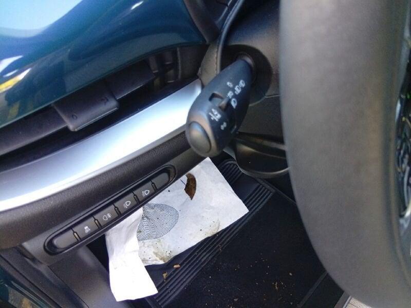 FIAT 500 (2020--->) Icon 3+1