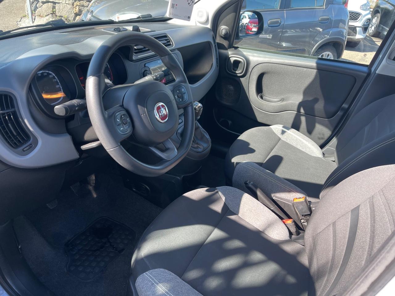 Fiat Panda 1.0 FireFly S&S City Life vari colori