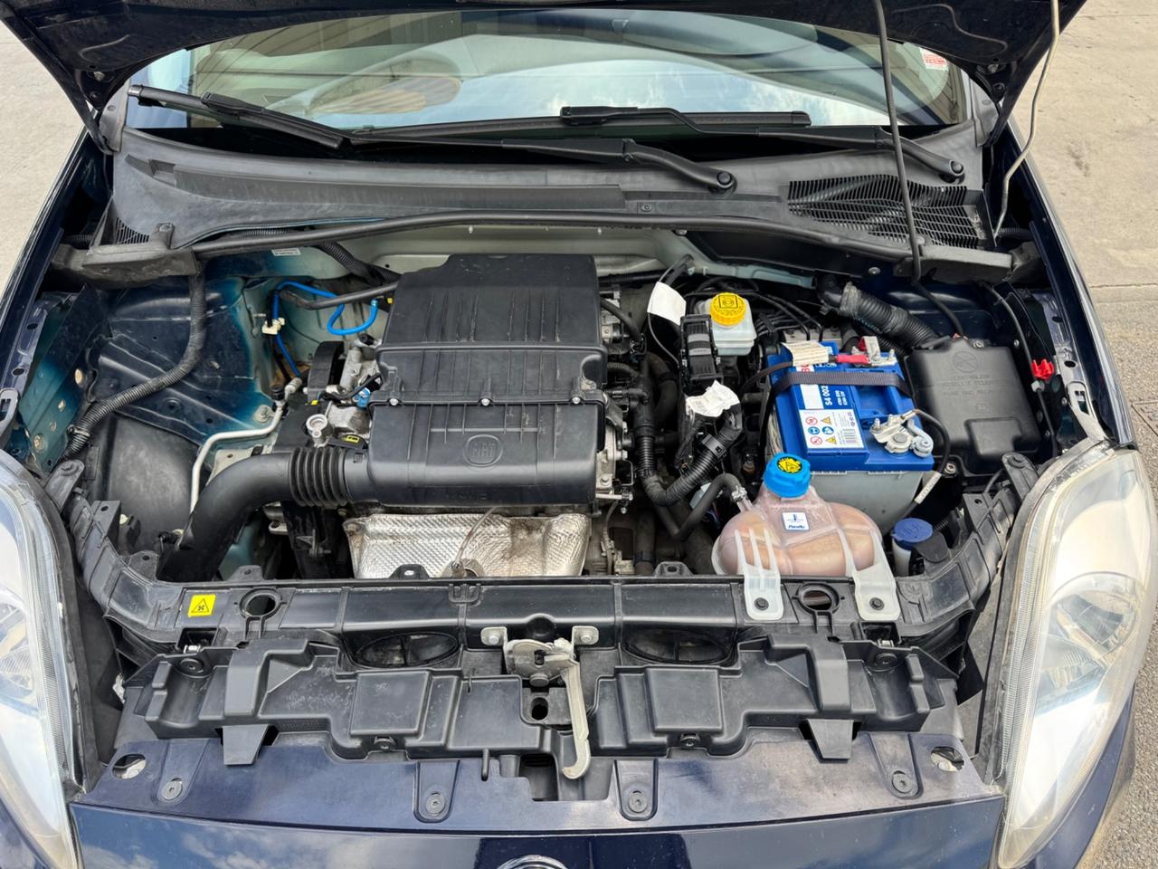 Fiat Punto 1.2 8V 5 porte Street uni pro per neopatentati