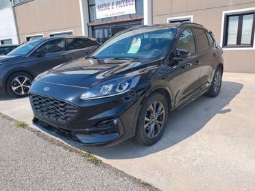 Ford Kuga 2.0 EcoBlue 120 CV aut. 2WD ST-Line