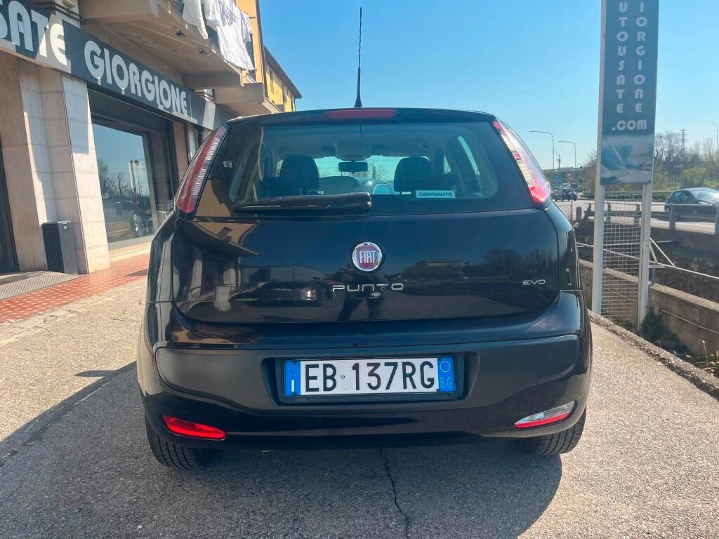 Fiat Punto 1.4 5 porte cambio manuale e automatico