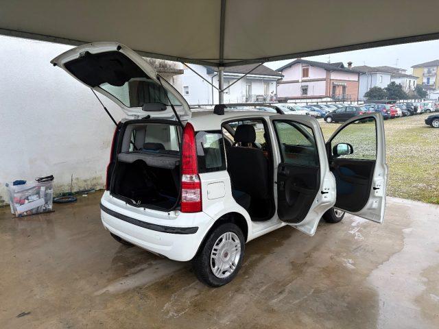 FIAT Panda 1.2 Dynamic BENZ/METANO OK NEOPATENTATI FARI FENDI