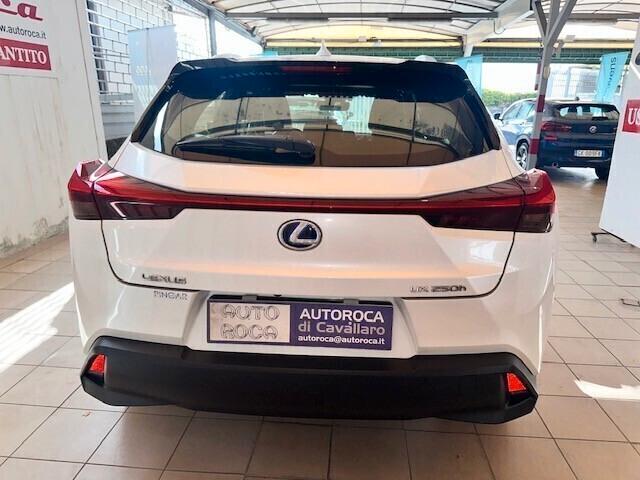 Lexus UX Hybrid Business