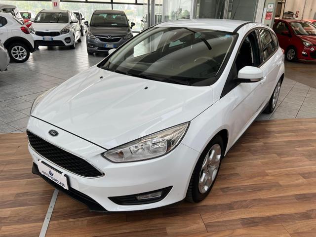 FORD Focus 1.5 TDCi 95 CV Start&Stop Business - SENSORI