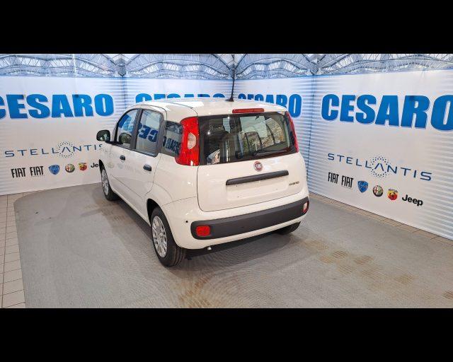 FIAT Panda 1.0 firefly hybrid Icon s&s 70cv 5p.ti
