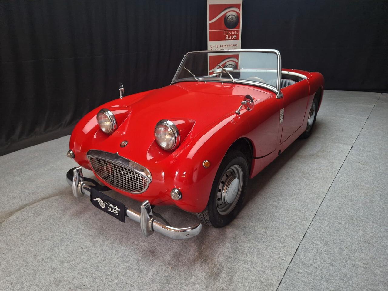 Austin Healey Altro Sprite “Frog Eye” ASI