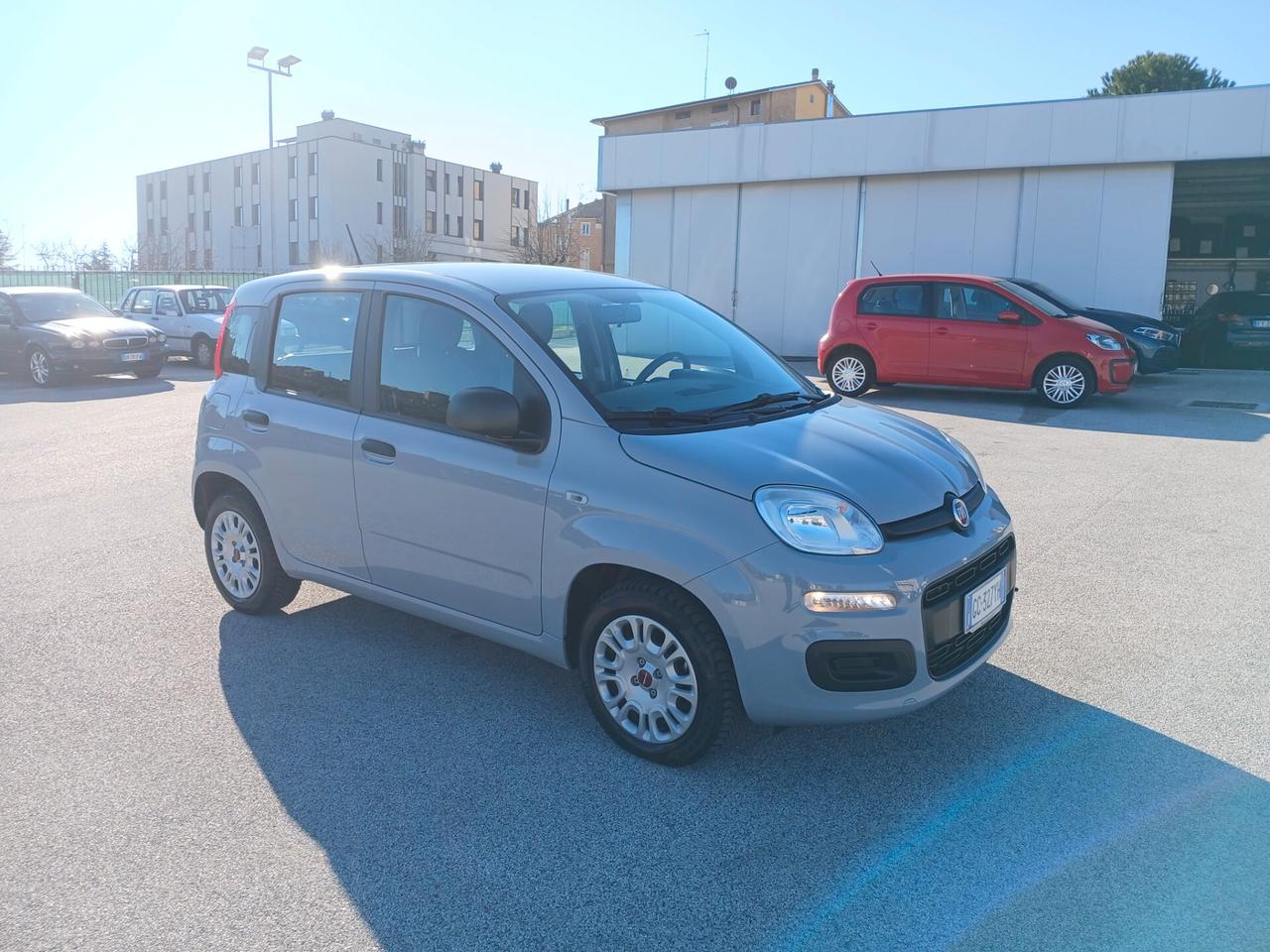 Fiat Panda 1.2 BENZ 70CV 2020 EASY