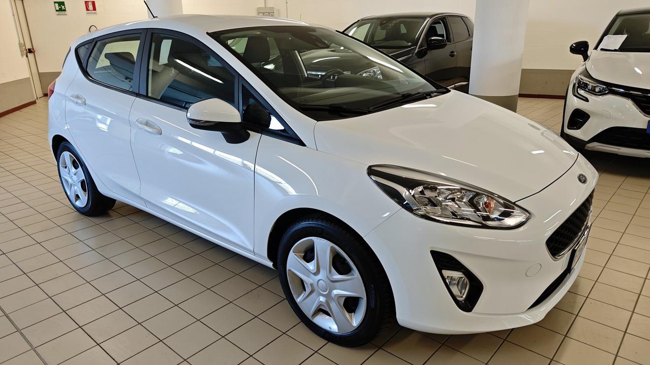 Ford Fiesta 1.1 GPL 5 porte Plus