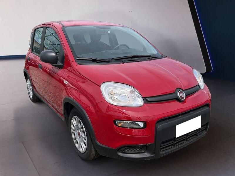FIAT Panda My24 1.0 70cv Hybrid Panda
