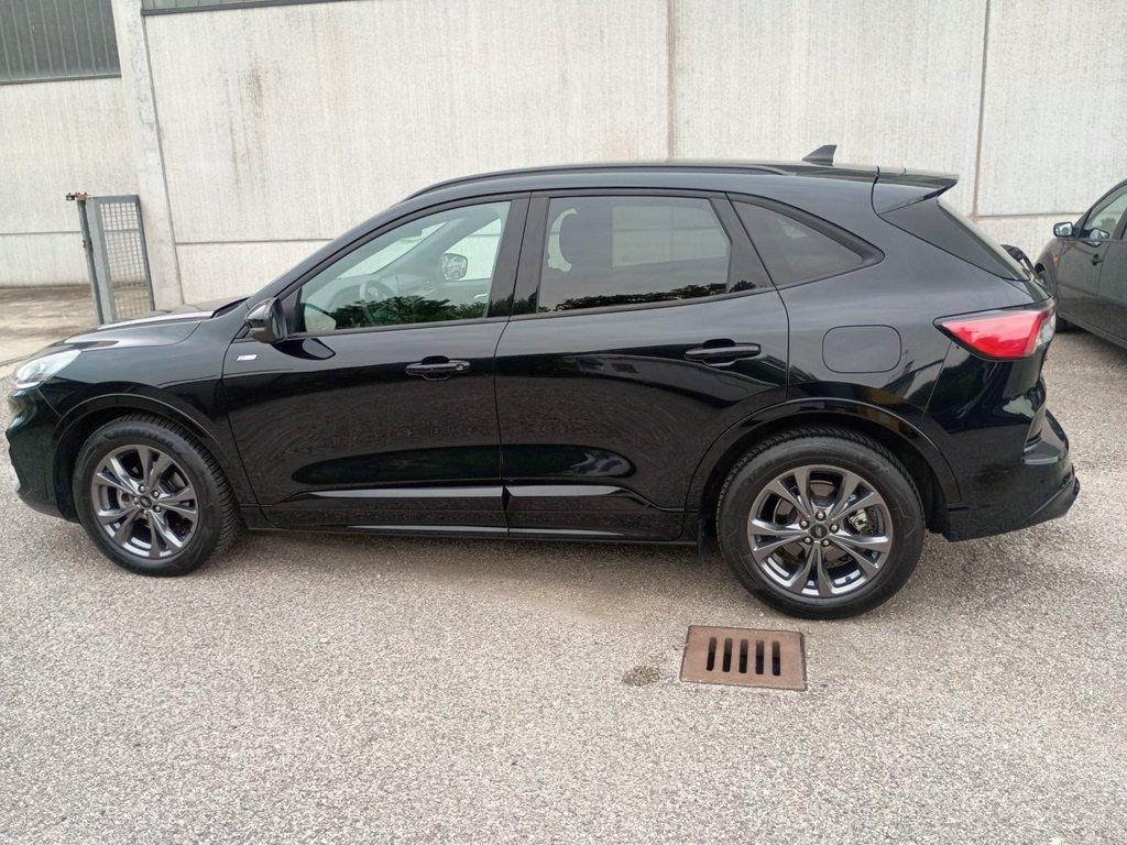 FORD Kuga 2.0 ecoblue st-line 2wd 120cv auto del 2023