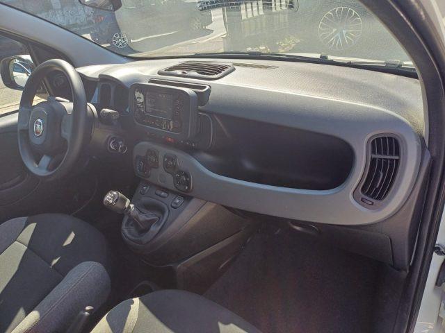 FIAT New Panda 1000 HYBRID CITY LIFE 70CV BIANCO ITALIA